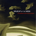 Wildcat of the Week - Threadbare and Wound Down, 2002